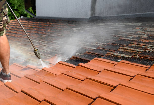Best Best Pressure Washing Companies  in Milford, IA